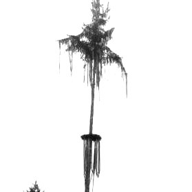 so001